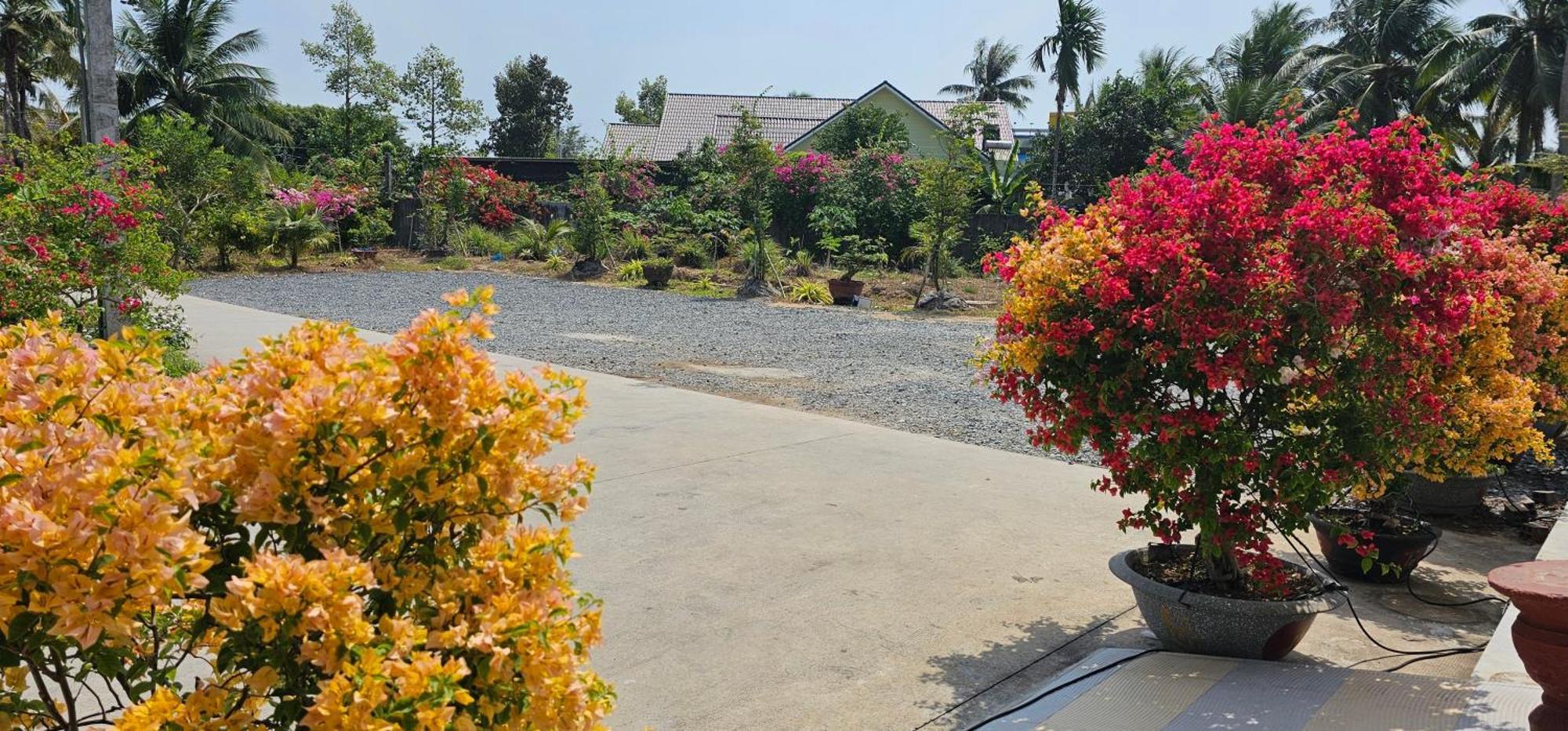 Nha Nghi Truc May Ben Tre المظهر الخارجي الصورة